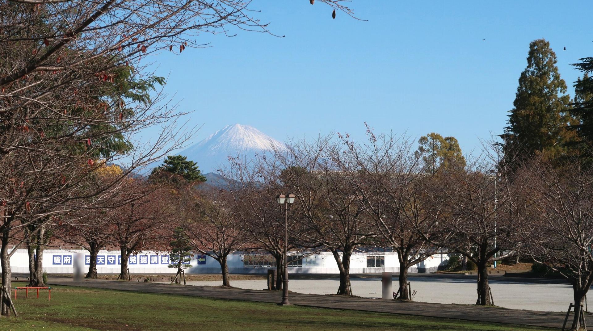 駿府城公園             の写真